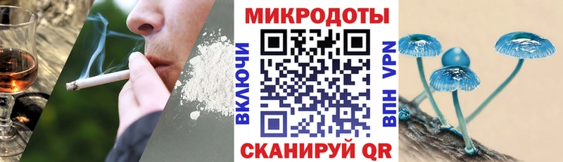 Галлюциногенные грибы Cubensis  магазин  наркотиков  Петровск 