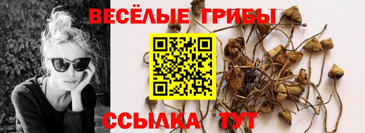 Галлюциногенные грибы MAGIC MUSHROOMS  Вход с VPN  Петровск 