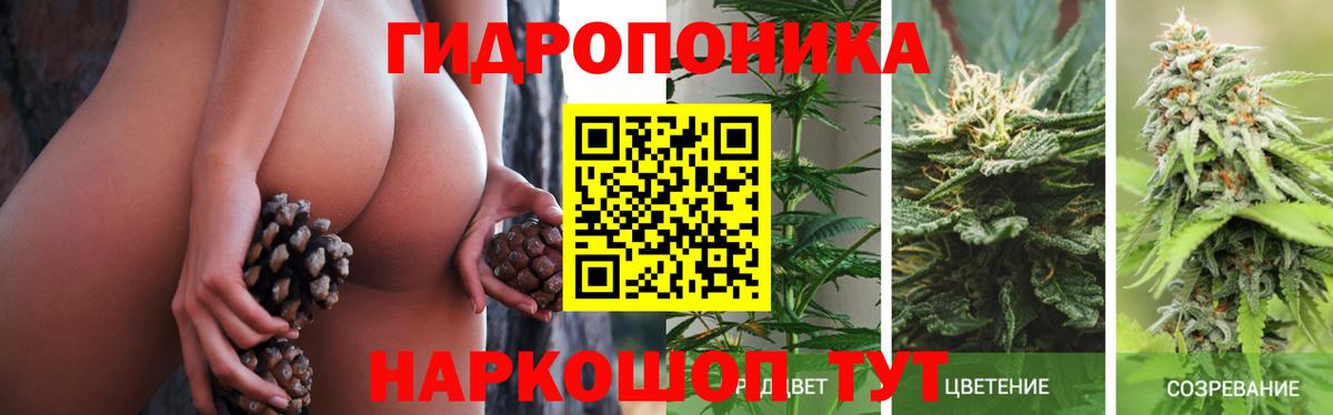 Петровск  Бошки марихуана тримм  Канабис THC 21%  Шишки марихуана ГИДРОПОН  Вход с VPN 